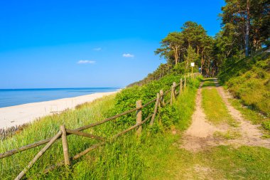 Lubiatowo sahil köyü, Baltık Denizi, Polonya 'daki ormandan güzel kumlu plaja giden yol