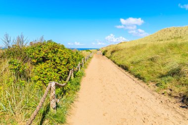 Çimlerle kaplı kumulların arasındaki kumsala giden yol, Sylt Adası, Almanya