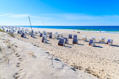 Almanya 'nın Sylt Adası' ndaki Kampen plajındaki beyaz kumsalda sandalyeler
