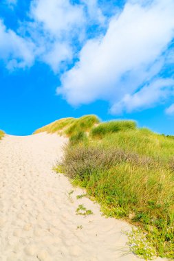 Almanya 'nın Sylt Adası' ndaki Kampen plajına giden yol