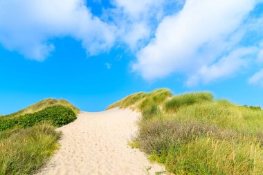 Çimlerle kaplı kumulların arasındaki kumsala giden yol, Sylt Adası, Almanya