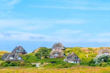 Almanya 'nın Sylt Adası' ndaki Kampen köyündeki kum tepelerinde saman çatıları olan tipik Frizya evleri.