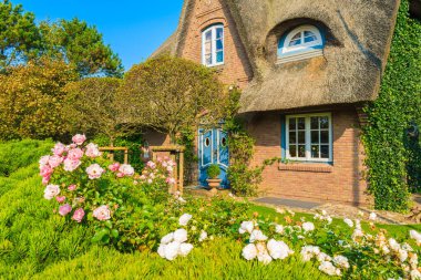 Almanya 'nın Sylt adasındaki Kampen köyünde saman çatılı tipik Frizya evi.