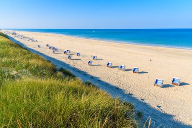 Kum tepeciğindeki çimenler ve güzel sahildeki hasır sandalyeler, Sylt Adası, Almanya