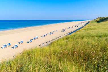Kum tepeciğindeki çimenler ve güzel sahildeki hasır sandalyeler, Sylt Adası, Almanya