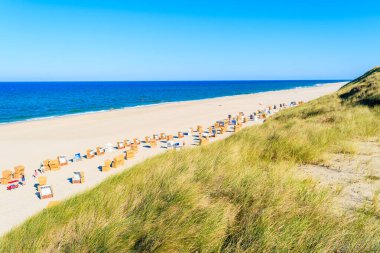 Kum tepeciğindeki çimenler ve Almanya 'nın Sylt Adası' ndaki beyaz kum Kampen plajı manzarası