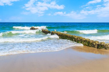 Almanya 'nın Sylt Adası sahilinde martılarla ve deniz dalgalarıyla dalgalar.
