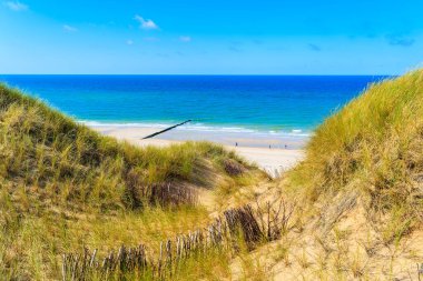 Kampen sahiline bakan çimen tepeciği, Sylt Adası, Almanya