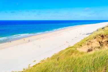 Kampen sahiline bakan çimen tepeciği, Sylt Adası, Almanya