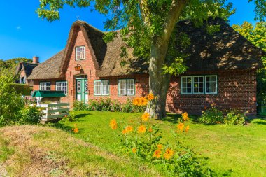 Almanya 'nın Sylt Adası' ndaki Keitum köyünde saman çatılı tipik kırmızı tuğlalı Frizya evi.