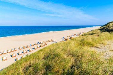 Kum tepeciğindeki çimenler ve güzel sahildeki hasır sandalyeler, Sylt Adası, Almanya