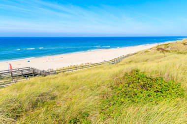 Güneşli yaz gününde Wenningsted plajı ve çimen kum tepesi manzarası, Sylt Adası, Kuzey Denizi, Almanya