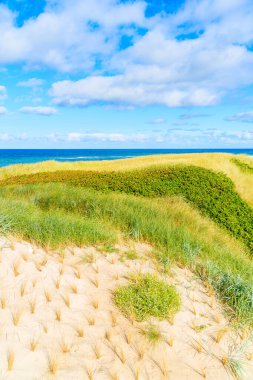 Kuzey Denizi, Almanya 'daki Sylt adasının kıyısındaki Westerland köyü yakınlarındaki çimen kum tepesi manzarası