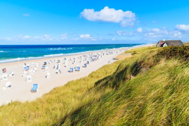 Sylt Adası, Kuzey Denizi, Almanya 'daki Kampen köyünde çimen kum tepesi ve güzel plaj manzarası