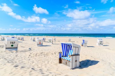 Almanya 'nın Sylt adasındaki Kampen köyündeki beyaz kumsalda sandalyeler