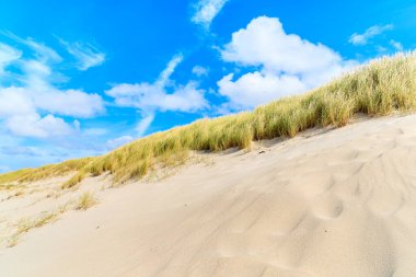 Liste plajındaki çimen kum tepeleri, Sylt Adası, Almanya