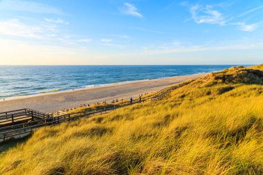 Kum tepeciğindeki altın çimenler ve gün batımındaki kumsal manzarası, Sylt Adası, Almanya