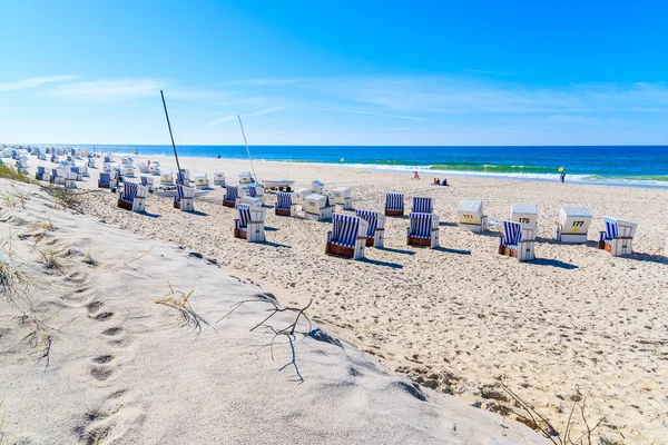 Almanya 'nın Sylt Adası' ndaki Kampen plajındaki beyaz kumsalda sandalyeler