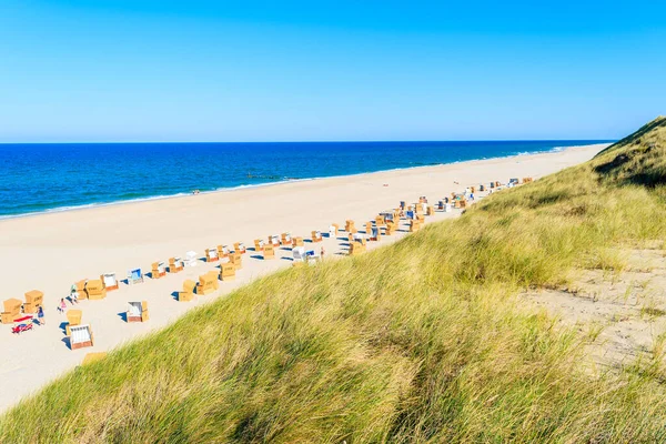 Kum tepeciğindeki çimenler ve Almanya 'nın Sylt Adası' ndaki beyaz kum Kampen plajı manzarası