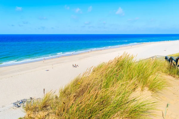 Çimen kum tepeciği ve güzel sahil manzarası, Sylt Adası, Almanya