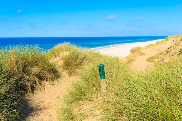 Almanya 'nın Sylt Adası' ndaki Wenningstedt köyü yakınlarındaki kızıl kayalıklar boyunca kıyı yolu