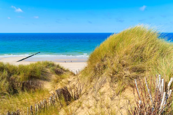 Wenningstedt sahilindeki kum tepeciği ve deniz manzarası, Sylt Adası, Almanya