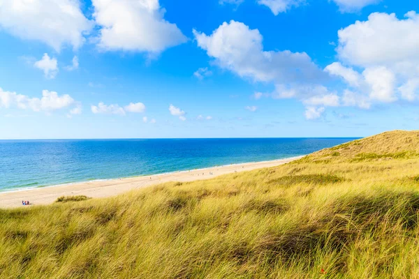 Çimen kum tepeciği ve güzel sahil manzarası Gökyüzünde güneşli bulutlar, Sylt Adası, Almanya