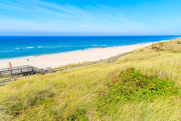 Güneşli yaz gününde Wenningsted plajı ve çimen kum tepesi manzarası, Sylt Adası, Kuzey Denizi, Almanya
