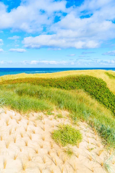 Kuzey Denizi, Almanya 'daki Sylt adasının kıyısındaki Westerland köyü yakınlarındaki çimen kum tepesi manzarası