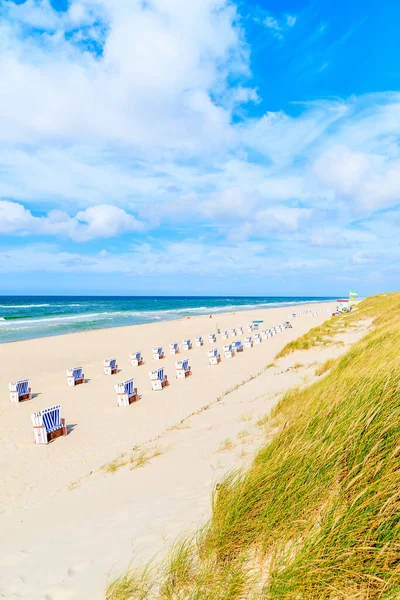 Almanya 'nın Sylt Adası' ndaki Liste Köyü 'ndeki kumlu plajda sandalyeler