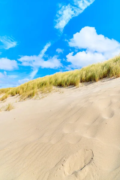 Liste plajındaki çimen kum tepeleri, Sylt Adası, Almanya