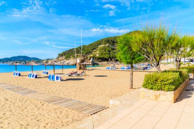 Güneşli yaz gününde Cala San Vicente koyunda şemsiyeli ve güneşli kumsal, İbiza adası, İspanya