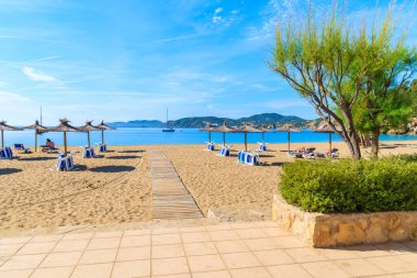 Güneşli yaz gününde Cala San Vicente koyunda şemsiyeli ve güneşli kumsal, İbiza adası, İspanya