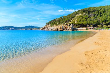 Kumsal ve sakin deniz suyu Cala San Vicente koyunda güneşli yaz gününde, İbiza adası, İspanya