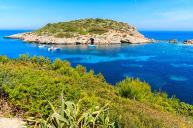 İspanya 'nın İbiza adasındaki Cala Portinatx Körfezi' nde kıyı şeridinde büyüyen balıkçı tekneleri ve deniz manzarası