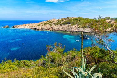 Sahilde büyüyen ve İspanya 'nın İbiza adasındaki Cala Portinatx Körfezi' nde deniz manzaralı bir tesis.