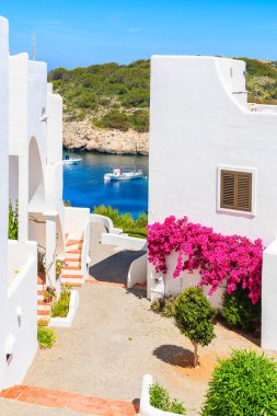 Çiçeklerle süslenmiş geleneksel beyaz evler ve İspanya 'nın İbiza adasındaki Cala Portinatx Körfezi' nde deniz manzaralı balıkçı teknesi.