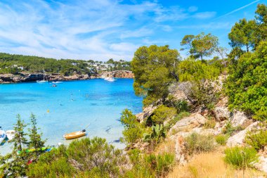 İbiza adası, İbiza, İspanya 'nın masmavi deniz suyuyla güzel Cala Portinatx koyuna bakan yeşil çam ağacı kayalıkları.