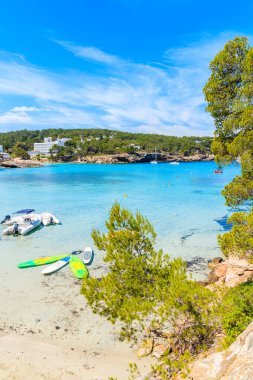 Uçurumdaki yeşil çam ağacı güzel Cala Portinatx plajına bakıyor. Sörf tahtaları ve kayık botları gök mavisi deniz suyunda, İbiza adası, İspanya