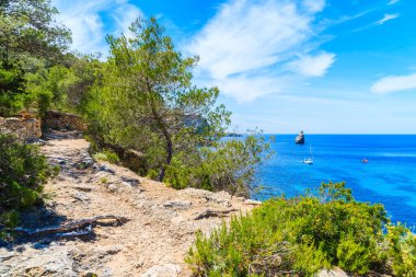 Çam ağaçları ve Cala Benirras körfezi boyunca uzanan kıyı yolu mavi deniz suyu, İbiza adası, İspanya