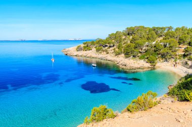 Cala Salada 'daki güzel sahil manzarası masmavi berrak deniz suyuyla ünlü, İbiza adası, İspanya