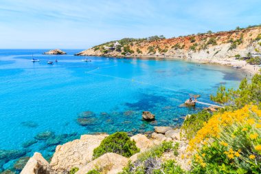 Cala d 'Hort sahili önü mavi deniz suyu ve sarı bahar çiçekleriyle dolu İbiza adası, İspanya
