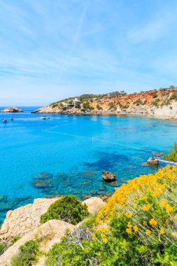 Cala d 'Hort sahili önü mavi deniz suyu ve sarı bahar çiçekleriyle dolu İbiza adası, İspanya