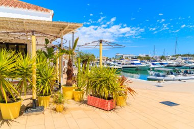 İbiza Adası, İspanya 'da Santa Eularia' da tropikal bitkilerle süslenmiş bir kafe.