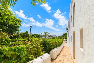İspanya 'nın İbiza adasındaki Sant Carles de Peralta köyündeki kilise duvarı boyunca bahçede yürüyüş sokağı..