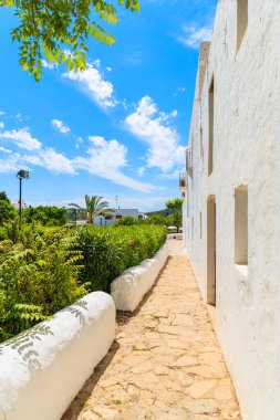 İspanya 'nın İbiza adasındaki Sant Carles de Peralta köyündeki kilise duvarı boyunca bahçede yürüyüş sokağı..
