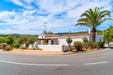 İspanya 'nın İbiza adasındaki Sant Carles de Peralta köyünde yol kenarında palmiye ağacı olan tipik bir beyaz ev.