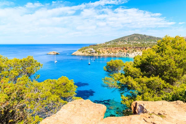 İspanya 'nın İbiza adasındaki kayalıklarda güzel mavi deniz suyu ve çam ağaçları olan Cala d' Hort Körfezi manzarası