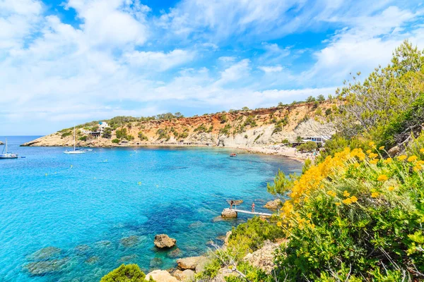 Cala d 'Hort Körfezi manzarası güzel mavi deniz suyu ve bahar sarı çiçekleri ile önplanda, İbiza Adası, İspanya