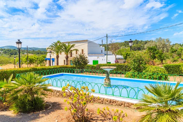 İspanya 'nın İbiza adasındaki Sant Carles de Peralta köyündeki parkta çeşme ve tropikal bitkiler.